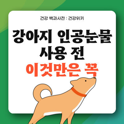 강아지 인공눈물