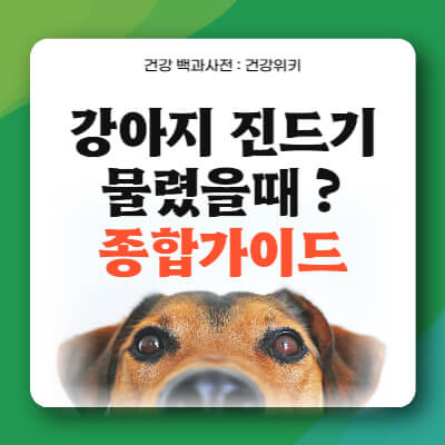 강아지 진드기 물렸을때