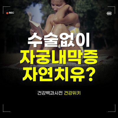 자궁내막증 자연치유