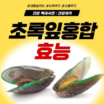 초록잎홍합 효능